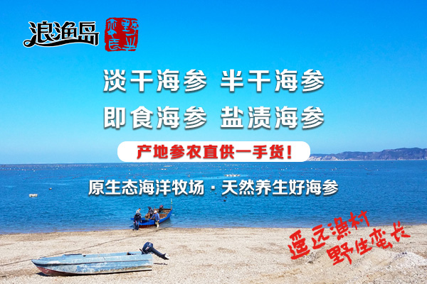 大连浪渔岛告诉你吃海参为什么要吃九九八十一只